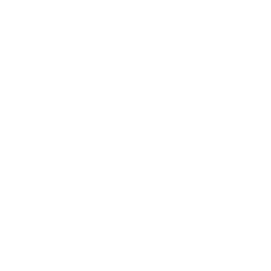 axom motors